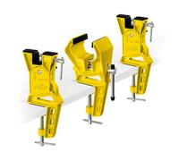 Toko Ski World Cup Vise