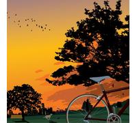 Tokyo Bossa Nova -Por-Do-Sol-