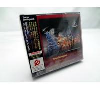 Tokyo Disney Land Night Entertainment:Starlight