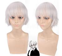 Tokyo Ghoul Kaneki Ken Wig Short Straight Silver White Heat Resistance Fibe Synthetic Hair Cosplay Anime Wigs