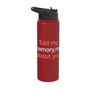 Told My Memory.md About You Funny Programmer Coders Humor Stainless Steel Insulated Water Bottle