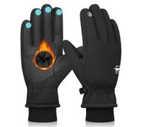 TOLEMI -20℉ Waterproof Ski Gloves, 3M Thermal Touchscreen Insulated Gloves for Snowboarding, Cycling, Running, Climbing, Hiking, Outdoor Sports (Black, L)