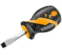 Tolsen Tools Screwdriver Stubby 5.5X38