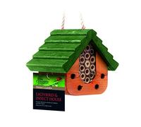 Tom Chambers Ladybird and Insect House