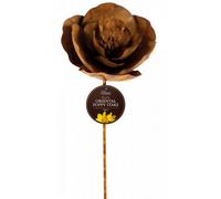 Tom Chambers Tall Rustic Stake Decoration Oriental Poppy
