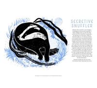 Tom Cox's 21st Century Yokel Poster: Secretive Snuffler
