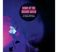 Tom Dissevelt & Kid Baltan - Song of the Second Moon