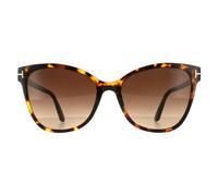 Tom Ford Ani FT0844 Dark Havana Sunglasses