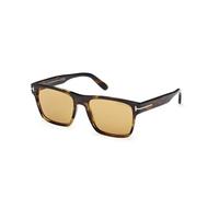 TOM FORD FT1205 CALDER 56E Man Sunglasses Acetate Havana Brown Squared Normal