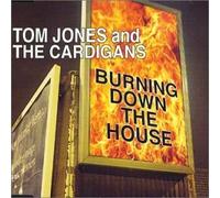 Tom Jones and The Cardigans - Burning Down the House (US Import)