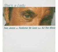 Tom Jones Feat DJ the Wave - She'S a Lady