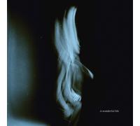 Tom Odell - A Wonderful Life (Coke Bottle Green LP) [VINYL]