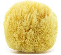 tom&pat® Natural Sea Sponge Grass • Extra Foam • Bathing Sponge and Body Sponge • for Babies and Sensitive Skin • Dermatest Excellent • Mediterranean Quality Greece (13-14 cm)