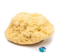 tom&pat® Natural Sea Sponge Silk • with Cord and Glass Pendant • Baby Bath Sponge • for Babies • Dermatest Excellent • Mediterranean Quality Greece • eBook Natural Soap DIY (10-11 cm)