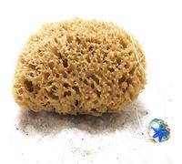 tom&pat® Natural Sea Sponge • with Cord and Glass Pendant • Bathing Sponge and Body Sponge • Peeling Effect • Unbleached • Dermatest Excellent • Mediterranean Quality Greece (13-14 cm)