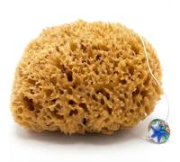 tom&pat® Natural Sea Sponge • with Cord and Glass Pendant • Bathing Sponge and Body Sponge • Peeling Effect • Unbleached • Dermatest Excellent • Mediterranean Quality Greece (15-16 cm)