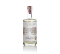 Tom Savano Artisan Cocktails, English Garden Lychee Martini, Lychee Liqueur with Vodka and Dry Italian Vermouths, Premium Handcrafted Cocktail, 19.5% ABV, 5 Servings, 500ml