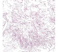 TOM SKINNER - VOICES OF BISHARA