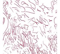 TOM SKINNER - VOICES OF BISHARA (US IMPORT) [VINYL]