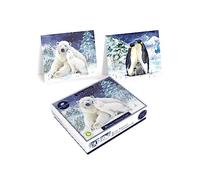 Tom Smith 20 Boxed Luxury Charity Christmas Cards 2 Polar Bear & Penguin Designs, 155 x 125mm