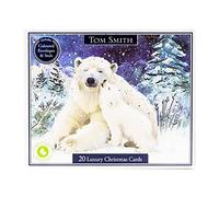 Tom Smith - Luxury Boxed Polar Bear & Penguins - Christmas Cards Multipack, Icy Design, Bear Or Penguin Illustration - Christmas Card, Envelopes & Sticker Set - Plastic Free Card Box With 20 Cards