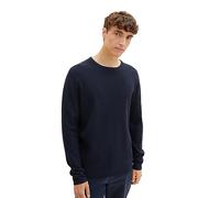 TOM TAILOR Denim Men's 1039434 Sweater, 10668-Sky Captain Blue, L