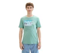 TOM TAILOR Denim Men's 1042053 T-Shirt, 10978-Bleeched Green, XXL