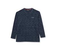 TOM TAILOR Men's 1039956 Plussize Long-Sleeved T-Shirt, 32450-Sky Captain Blue Stripy Inject, 3XL