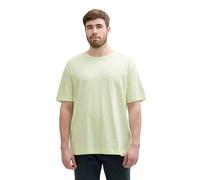 TOM TAILOR Men's 1047003 T-Shirt, 29078 Lime Cream Green, 4XL