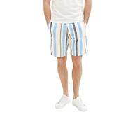 TOM TAILOR Men's 1036297 Regular fit Sweat Shorts, 31778-Blue Multicolor Big Stripe, L