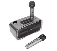 Tomantery Portable Bluetooth Karaoke Speaker System Powerful Machine with 2 Mic for Wedding Party Adults, Silver Black