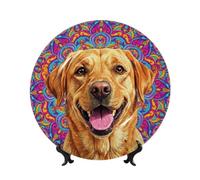 TOMASLINK Dog Memorial Gift for Labrador Retriever, Pet Memorial Plate, Thoughtful Pet Loss Gift for Someone Who Lost a Dog, Sympathy Gift for Dog Mom