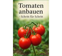 Tomaten anbauen - Schritt für Schritt: Der komplette Leitfaden zum Tomatenanbau