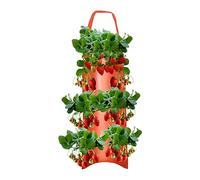 Tomato And Pepper Aposition - Inverted Tomato And Strawberry Aposition | Hanging Growing Flares For Vegetable Tomato | Plant Resistant Supplies In The Garden With Handle For Terrazz