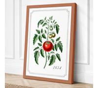 Tomato Plant in Bloom Canvas Wall Art Print 18x12 Inch