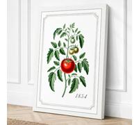 Tomato Plant in Bloom Canvas Wall Art Print 30x20 Inch