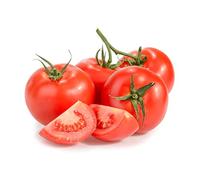Tomato Plants, 'Alicante', 3 x Full Plants in 9cm Pots, Tomato, Garden Vegetables, Tomatoes, Fresh Veg for The Kitchen, Garden Ready and Ready to Plant, Premium Quality Vegetables