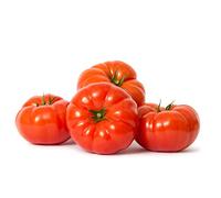 Tomato Plants, 'Beefsteak', 5 x Full Plants in 9cm Pots, Tomato Plants Ready to Plant Now, Tomatoes, Fresh and Sweet, Easy to Grow, Excellent Flavour, Garden Ready, Premium Quality Tomatoes