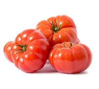 Tomato Plants, 'Beefsteak', 6 x Plug Plant Pack, Tomato Plants Ready to Plant Now, Tomatoes, Fresh and Sweet, Gardeners Favourite, Excellent Flavour, Garden Ready, Premium Quality Tomatoes
