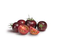 Tomato Plants, 'Black Cherry', 12 x Plug Plant Pack, Heritage Tomato, Tomato Plants Ready to Plant Now, Tomatoes, Fresh and Sweet, Gardeners Favourite, Excellent Flavour, Garden Ready