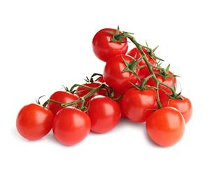 Tomato Plants, 'Gardener's Delight's, 4 x Full Plants in 9cm Pots, Cherry Tomato, Garden Vegetables, Tomatoes, Fresh Veg for The Kitchen, Garden Ready and Ready to Plant, Premium Quality Tomatoes