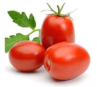 Tomato Plants, 'Plum Roma', 5 x Large Plants in 9cm Pots, Plum Tomatoes, Vegetable Plants, Garden Ready, Ready to Plant Now, Premium Quality Tomatoes