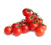 Tomato Plants, 'Red Alert', 6 x Plug Plant Pack, Tomato Plants Ready to Plant Now, Tomatoes, Garden Ready, Premium Quality Vegetables