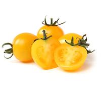 Tomato Plants, 'Sun Gold', 4 x Plug Plant Pack, Tomatoes, Vegetables, Garden Ready and Ready to Plant, Premium Quality Vegetable Plants