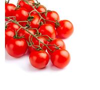 Tomato Plants, 'Sweet Aperitif', 4 x Plug Plant Pack, Tomato Plants Ready to Plant Now, Tomatoes, Fresh and Sweet, Gardeners Favourite, Excellent Flavour, Garden Ready, Premium Quality Tomatoes