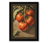 Tomatoes on the Vine Botanical Framed Wall Art Print A2 (59.4×42cm) Black, Wall Decor for Living Room, Bedroom, Office & Home, Ready to Hang, Art Gift