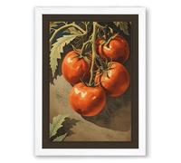 Tomatoes on the Vine Botanical Framed Wall Art Print A2 (59.4×42cm) White, Wall Decor for Living Room, Bedroom, Office & Home, Ready to Hang, Art Gift
