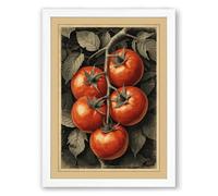 Tomatoes on the Vine Botanical Framed Wall Art Print A2 (59.4×42cm) White, Wall Decor for Living Room, Bedroom, Office & Home, Ready to Hang, Art Gift