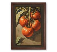 Tomatoes on the Vine Botanical Framed Wall Art Print A3 (42×29.7cm) Walnut, Wall Decor for Living Room, Bedroom, Office & Home, Ready to Hang, Art Gift