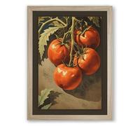 Tomatoes on the Vine Botanical Framed Wall Art Print A4 (29.7×21cm) Oak, Wall Decor for Living Room, Bedroom, Office & Home, Ready to Hang, Art Gift